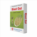 Blast Out | Tricyclazole 75% WP | Systemic Fungicide for Blast in Paddy – National Pesticides