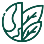 Fungicides
