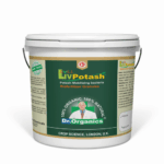 Liv Potash – Potash Mobilizing Bacteria Bio Fertilizer | Boost Potassium Uptake & Crop Yield